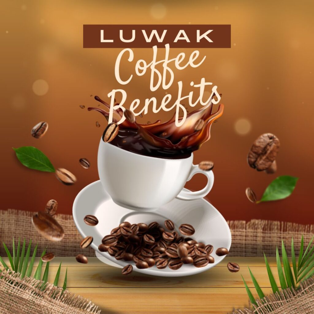 Luwak Coffee Recipe, Kopi Luwak Recipe, Luwak Coffee Benefits
