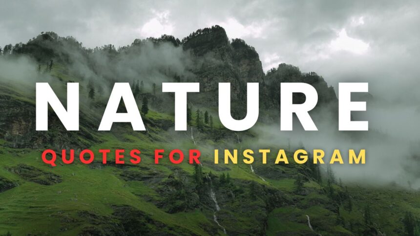 30 Best Nature Quotes for Instagram in English