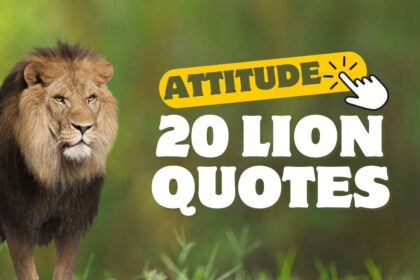 20 Powerful Attitude Lion Quotes with Images