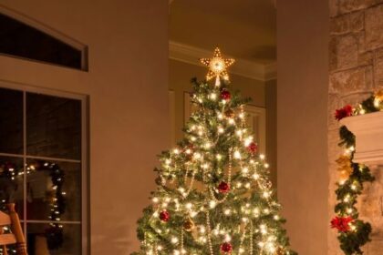Christmas tree Decoration Ideas