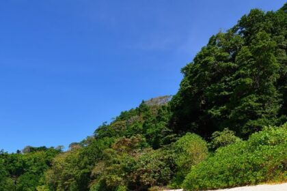 7 Most Beautiful Place of India