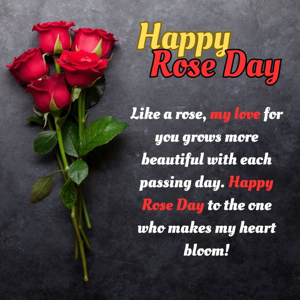 Happy Rose Day Wishes, Rose Day Wishes