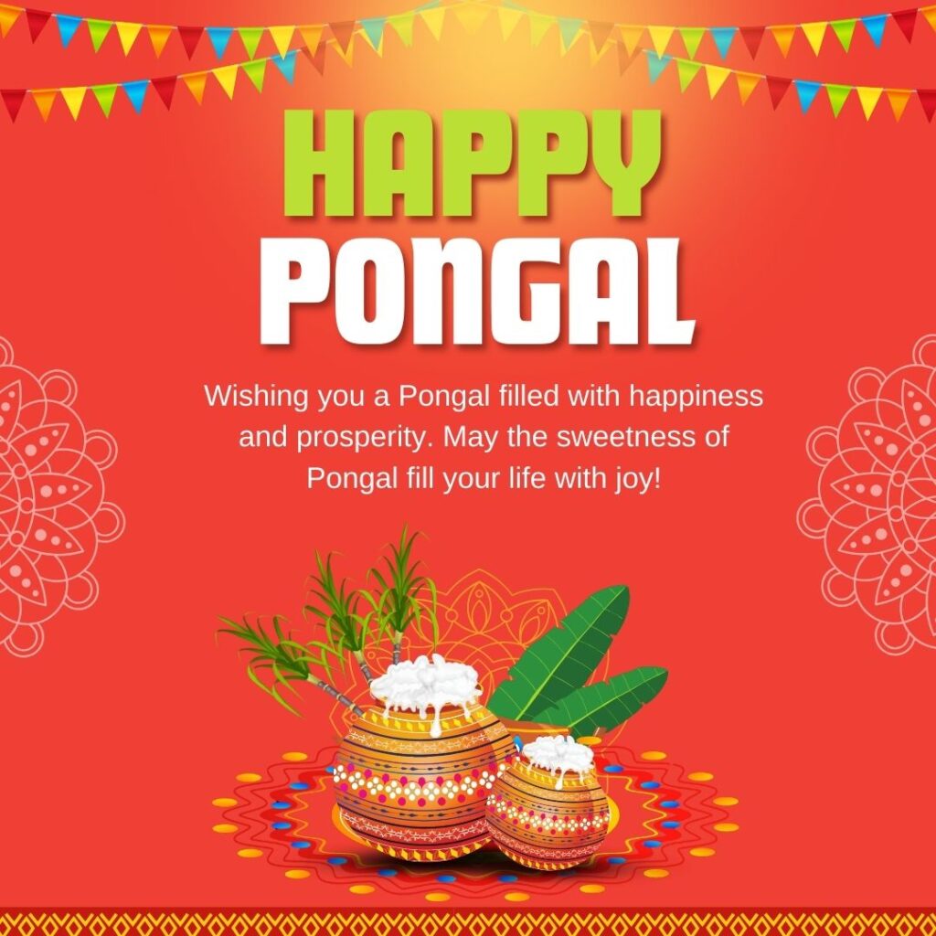 Happy Pongal Wishes 2025 : Quotes, Messages, Images and Status 3 Creative Pongal wishes in English