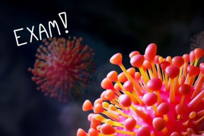 Will HMPV Virus Affect Student's Exam Preparation?