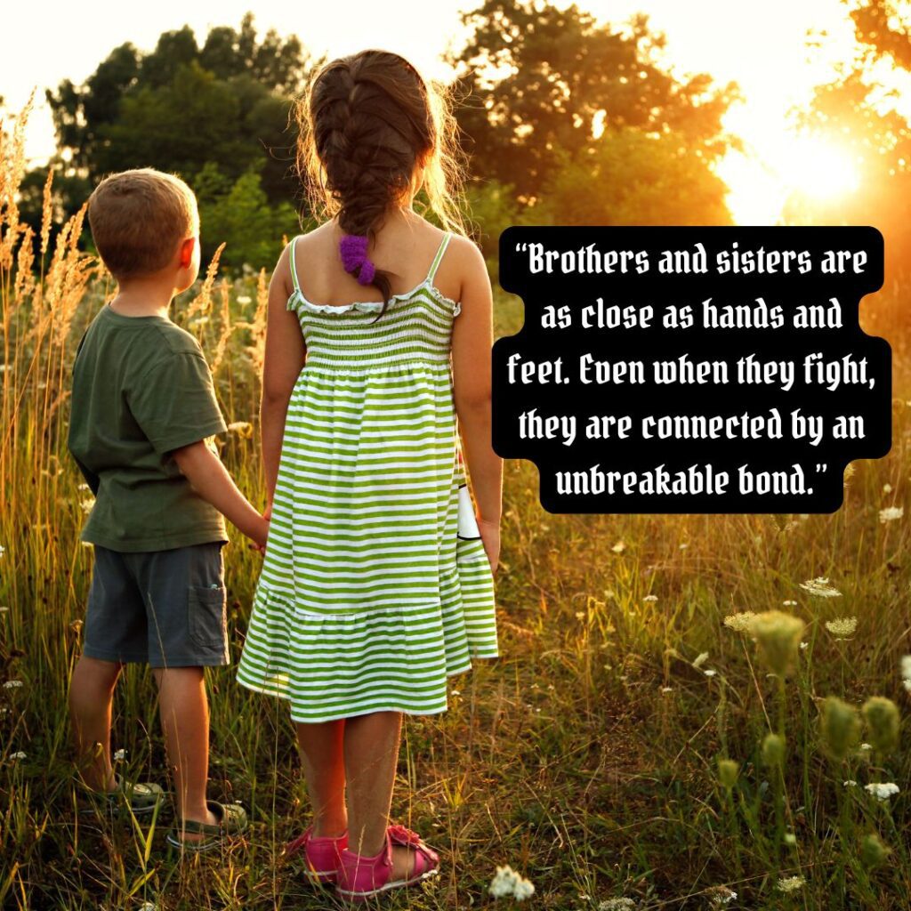 Heart Touching Emotional Brother and Sister Quotes