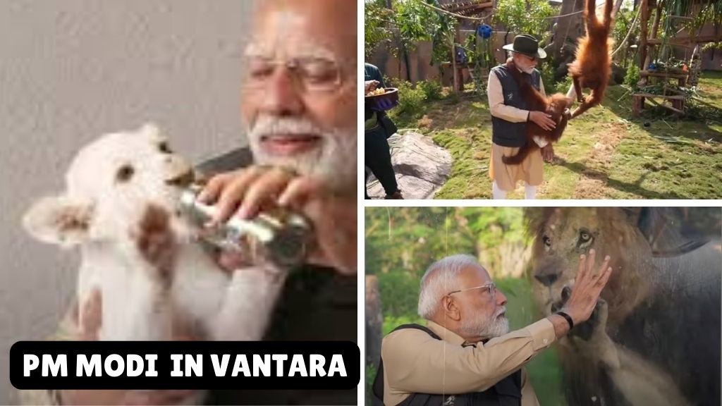 PM Modi Feeds Lion Cubs, Hugs Orangutans at Vantara A Peek into India Wildlife Rescue Revolution